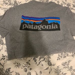 Patagonia t shirt